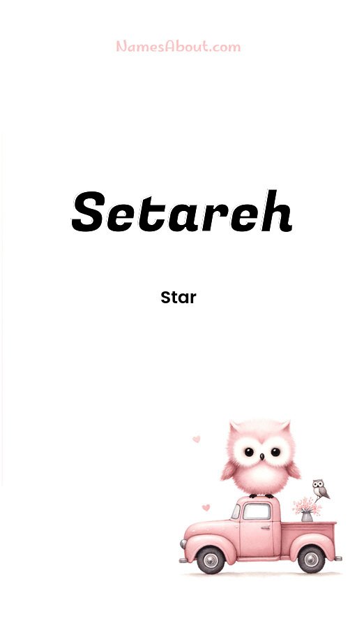 Meaning of Setareh