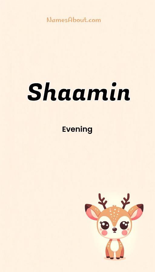 Shaamin name and meaning