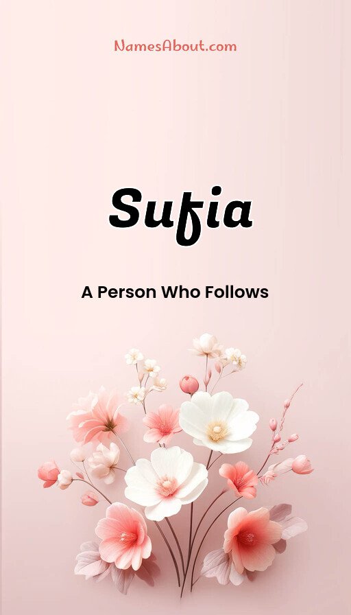 Meaning of Sufia