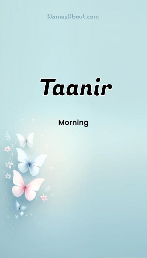 Taanir name meaning, Meaning of Taanir, Taanir name origin, Taanir name personality, Taanir name numerology, Taanir name significance, Taanir name lucky number, Taanir name traits, Popularity of Taanir name, Spiritual meaning of Taanir, Unique name Taanir meaning