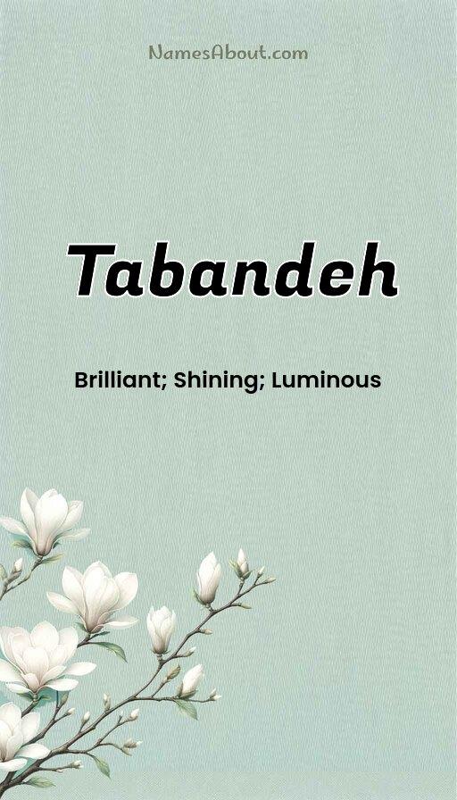 Meaning of Tabandeh