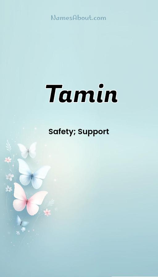 Illustration of Tamin