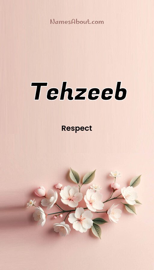Meaning of Tehzeeb