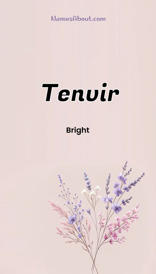 Meaning of Tenvir