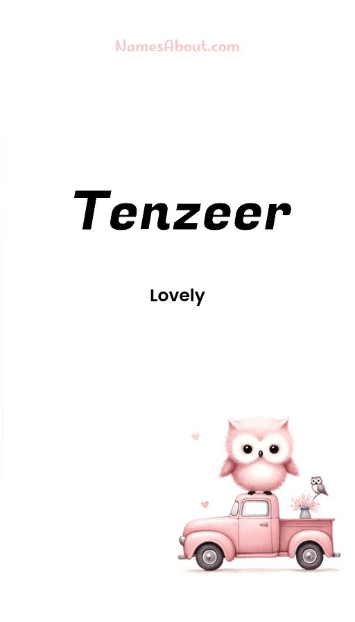 Meaning of Tenzeer