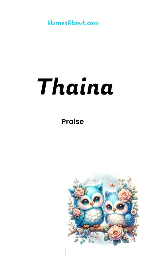 Meaning of Thaina