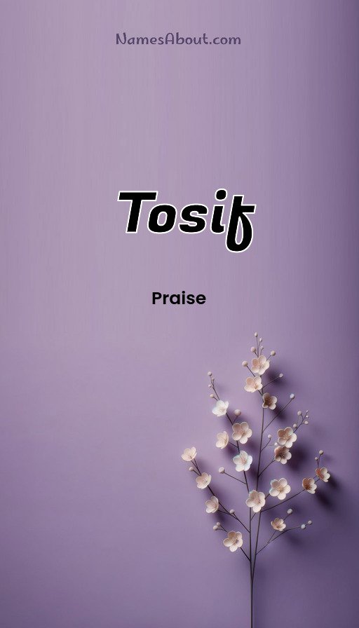 Meaning of Tosif