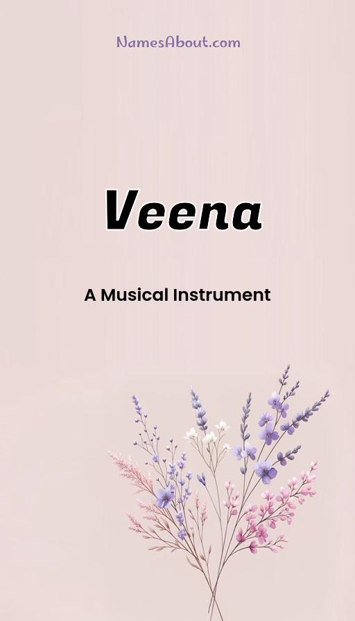 Illustration of Veena