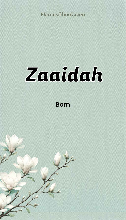 Meaning of Zaaidah