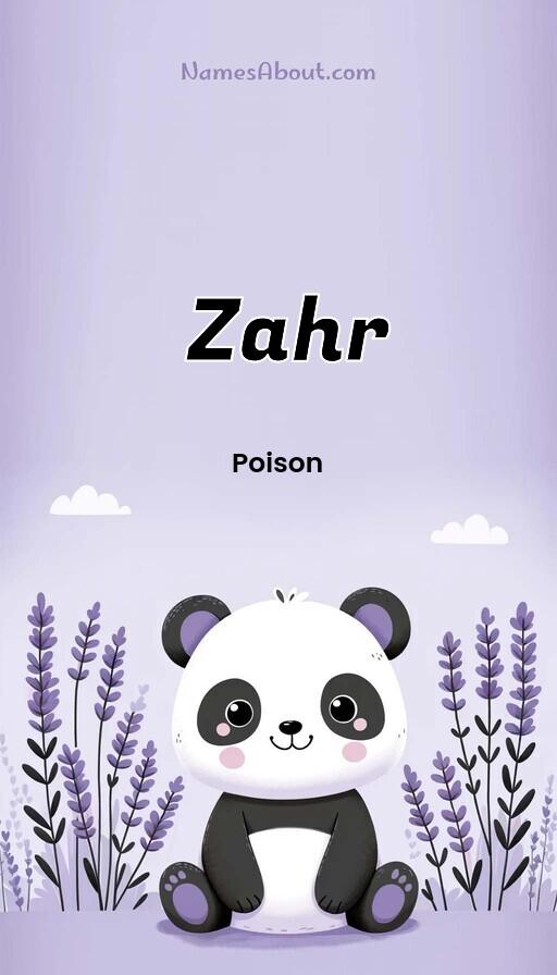 Illustration of Zahr