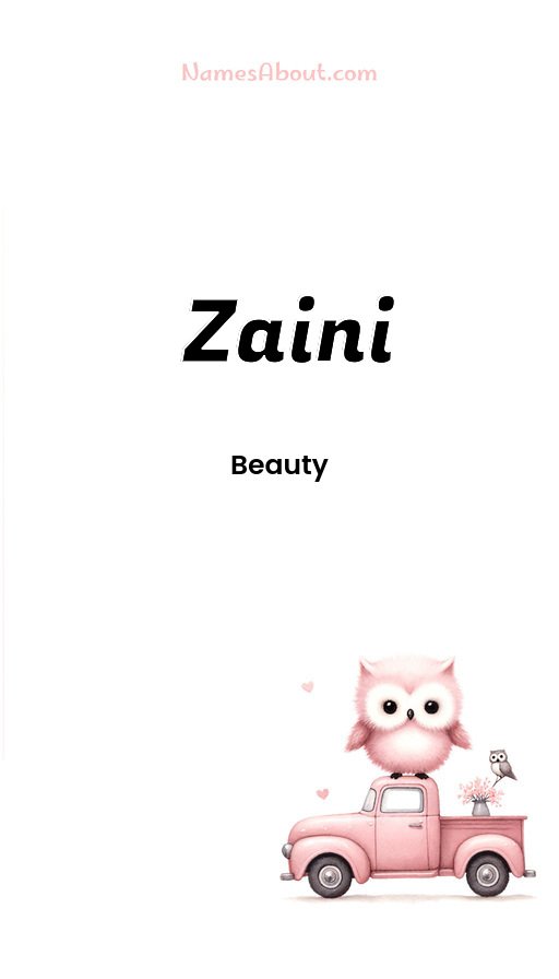 Meaning of Zaini