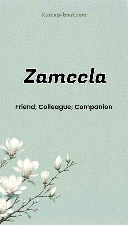 Meaning of Zameela