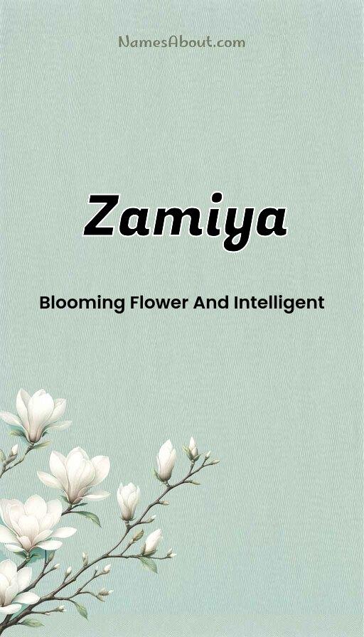 Illustration of Zamiya