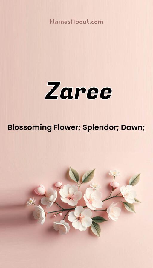 Meaning of Zaree