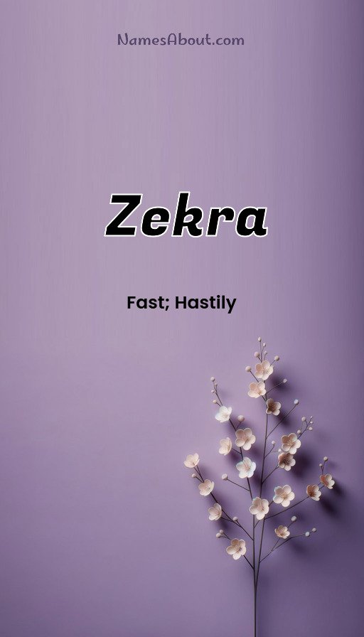 Meaning of Zekra