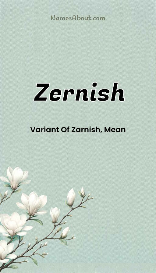 Meaning of Zernish