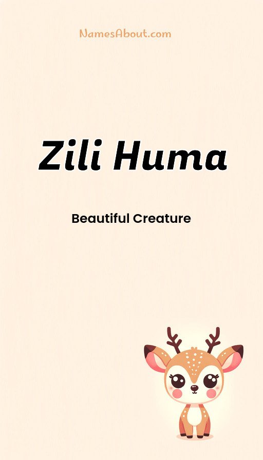 Meaning of Zili huma