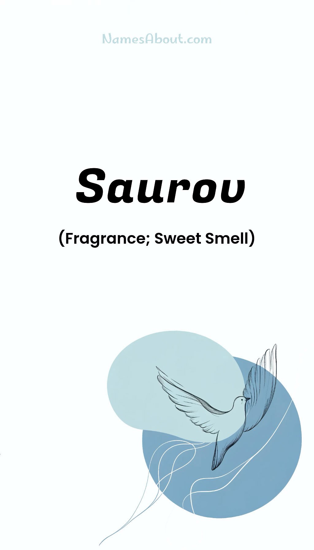 Saurov name and meaning