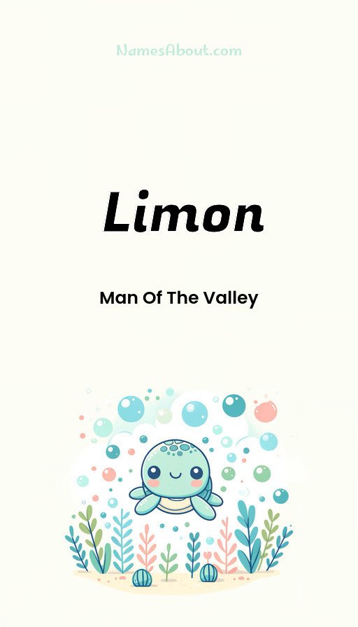 Meaning of Limon