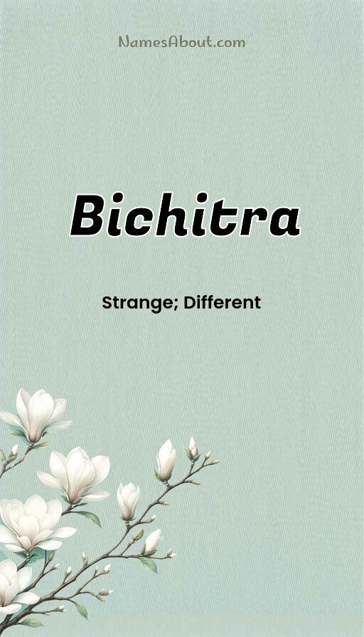 Meaning of Bichitra