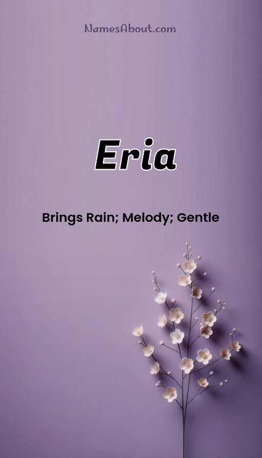 Meaning of Eria