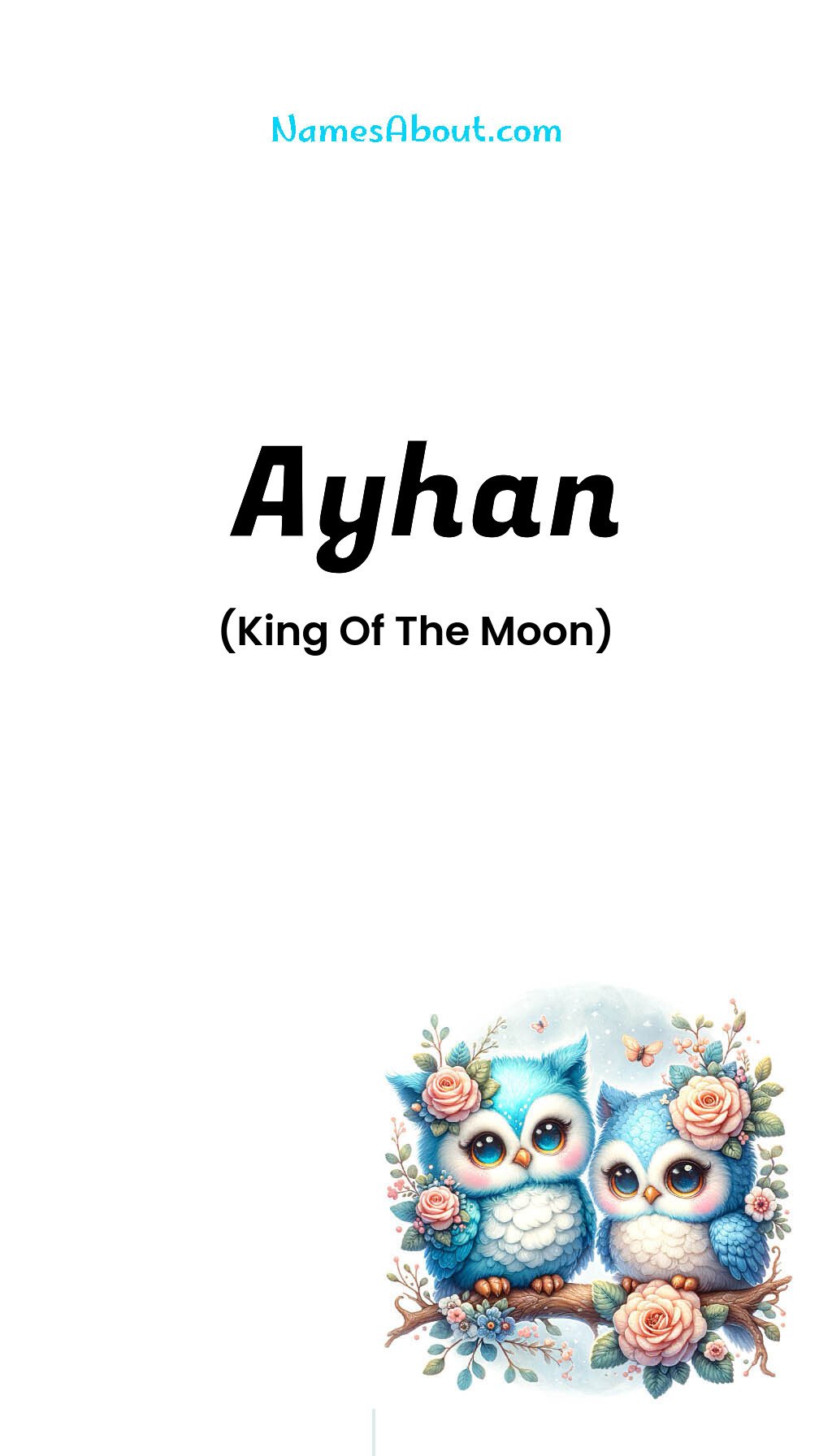 Ayhan name and meaning