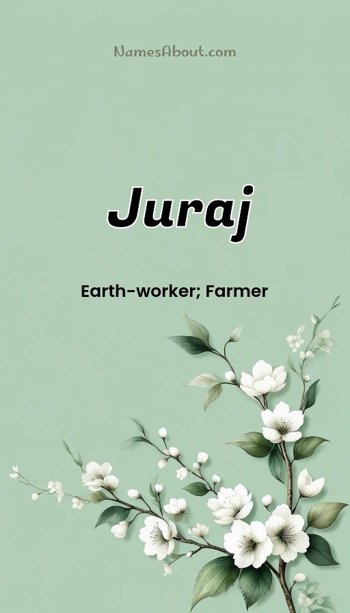 Meaning of Juraj