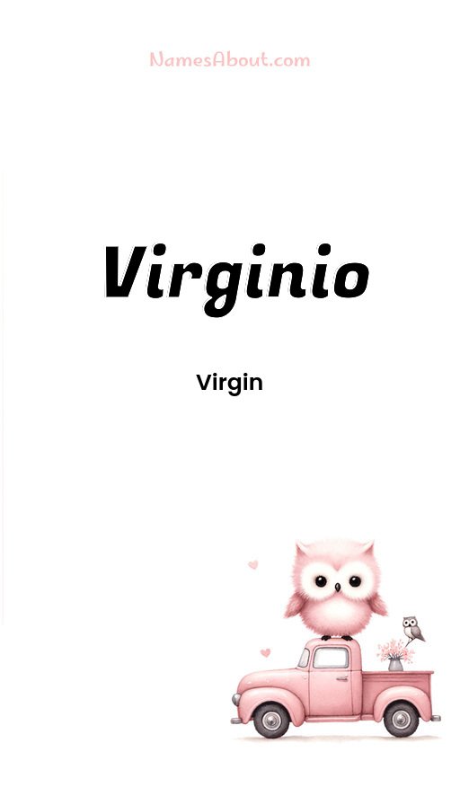 Meaning of Virginio