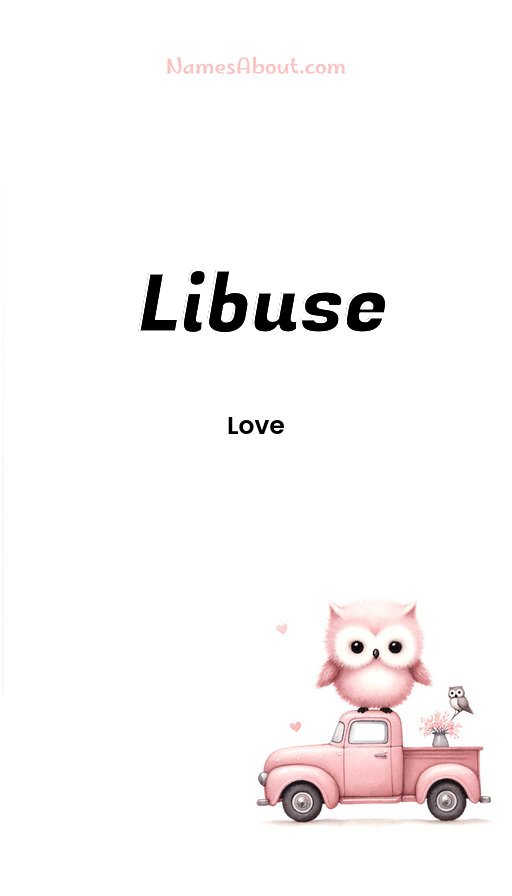 Meaning of Libuse