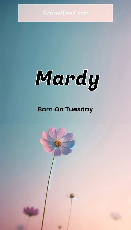 Meaning of Mardy