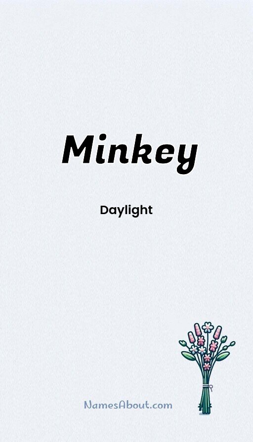 Meaning of Minkey
