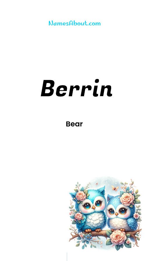 Meaning of Berrin