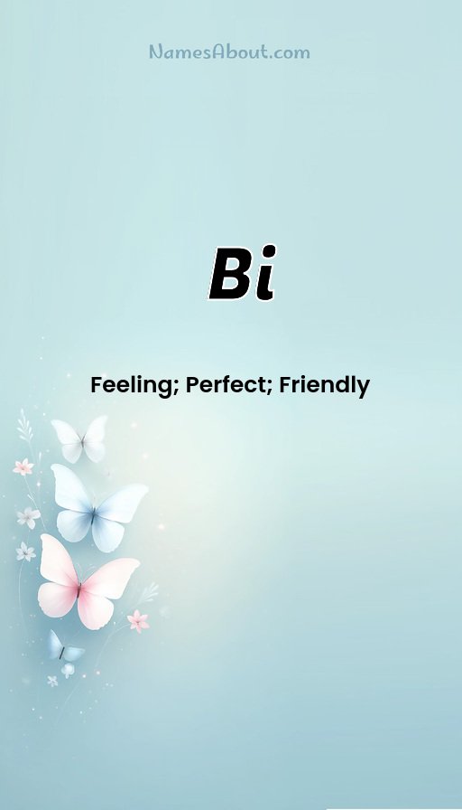 Meaning of Bi