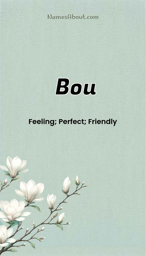 Meaning of Bou