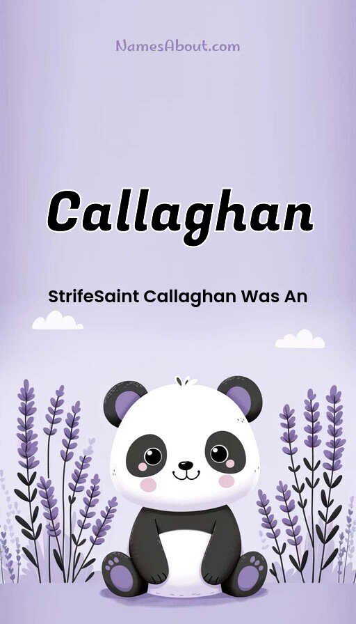 Meaning of Callaghan