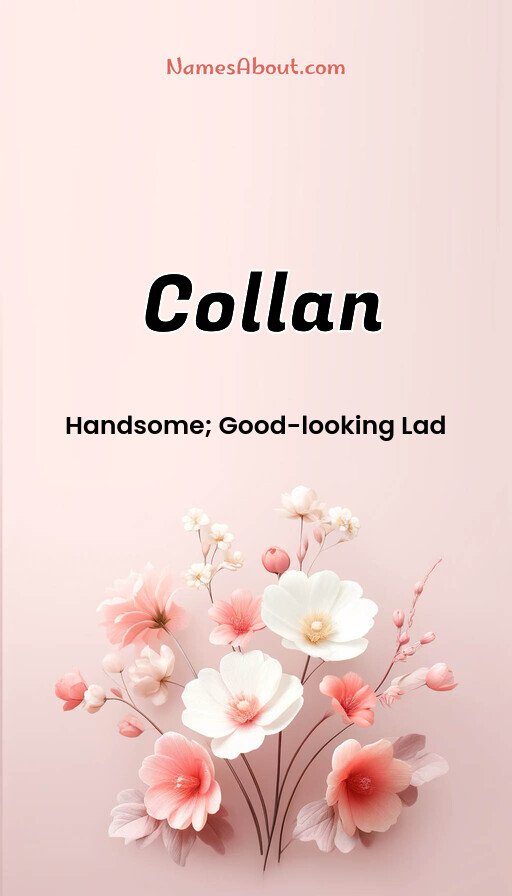 Meaning of Collan