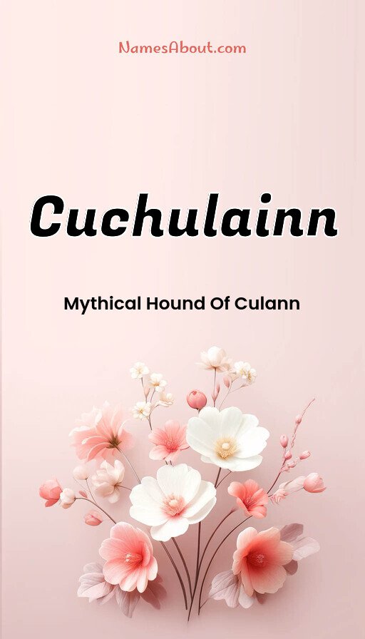 Meaning of Cuchulainn