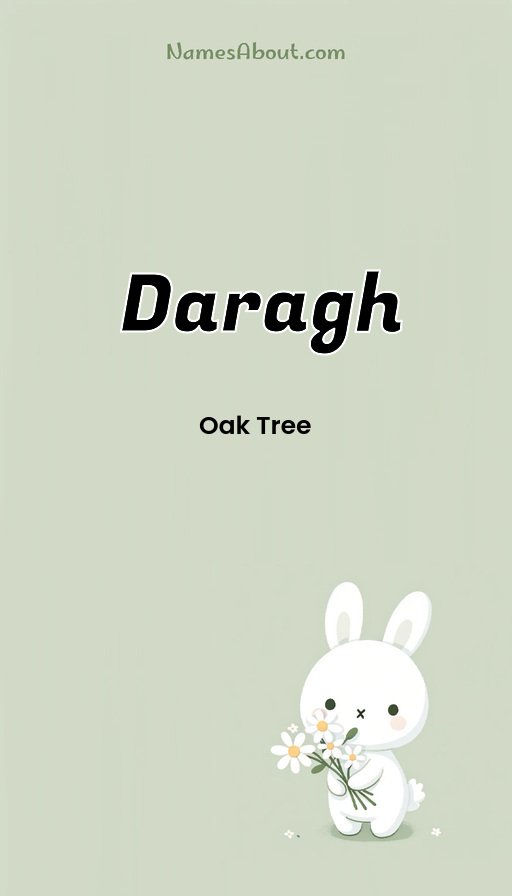 Meaning of Daragh