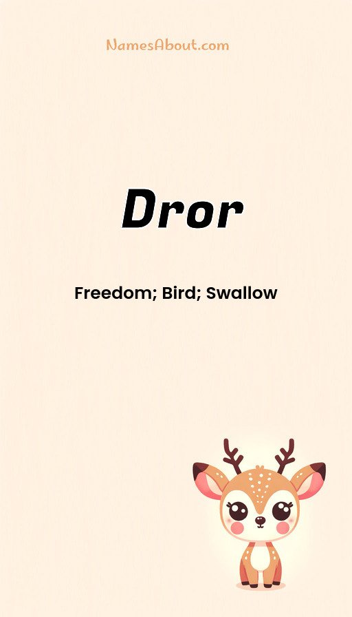 Meaning of Dror