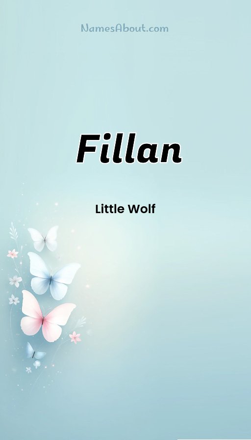 Meaning of Fillan