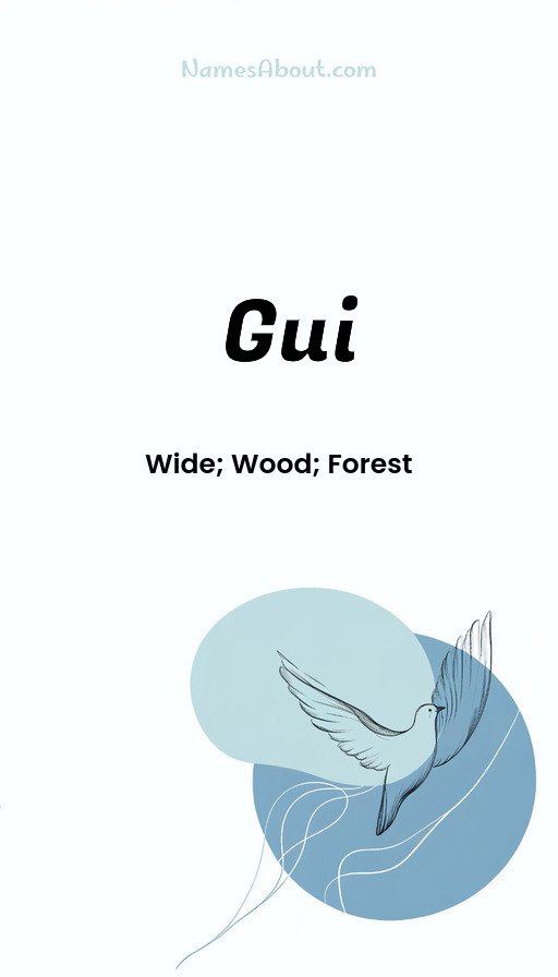 Meaning of Gui