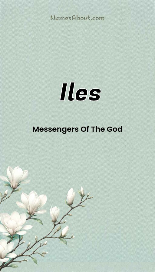 Meaning of Iles