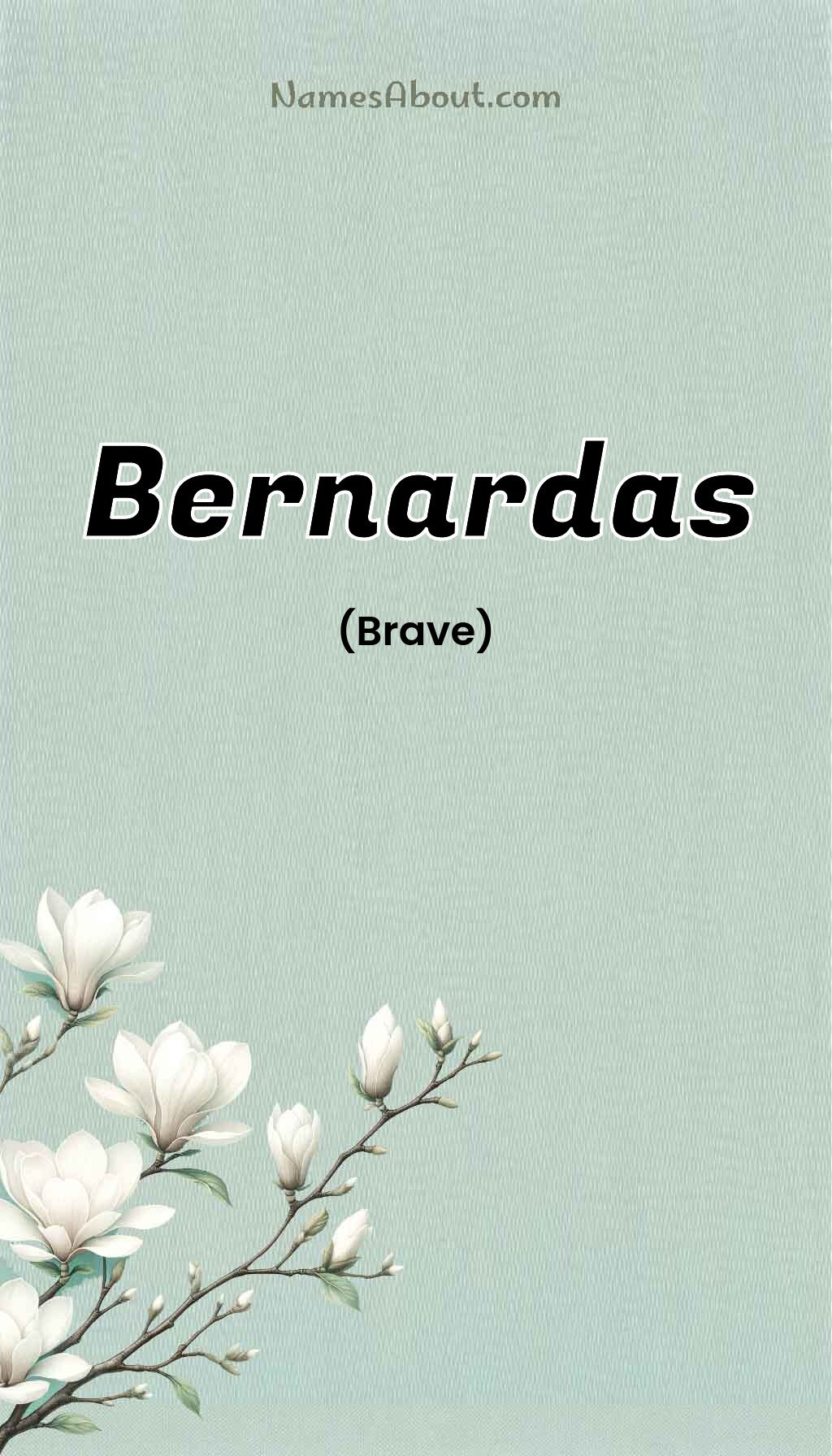 Bernardas name and meaning