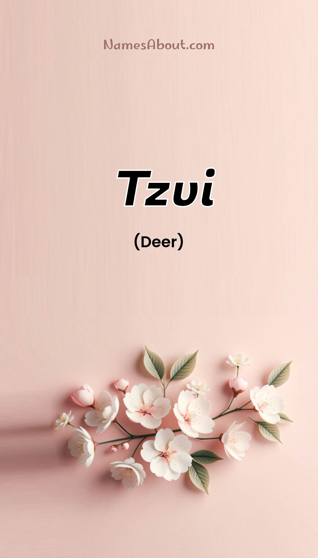 Tzvi name and meaning