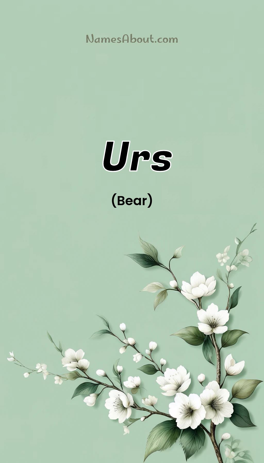 Urs name and meaning