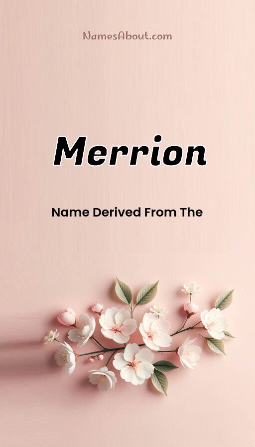 Meaning of Merrion