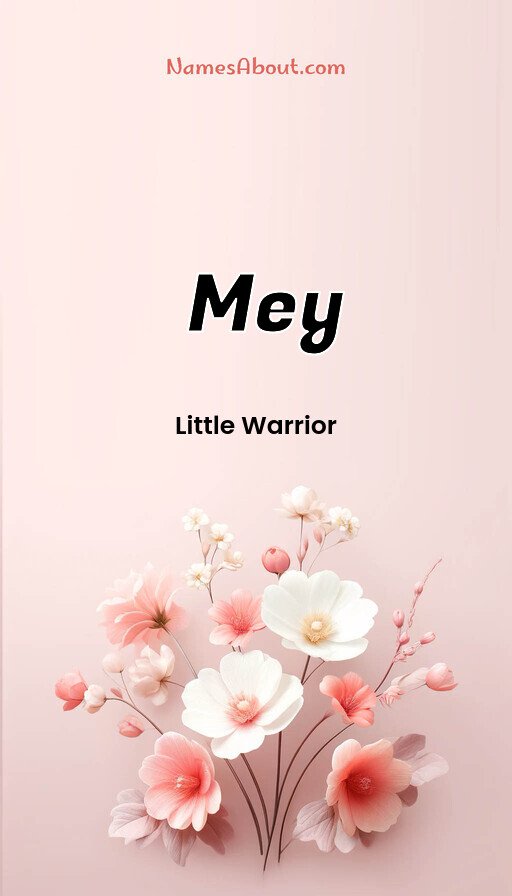 Meaning of Mey