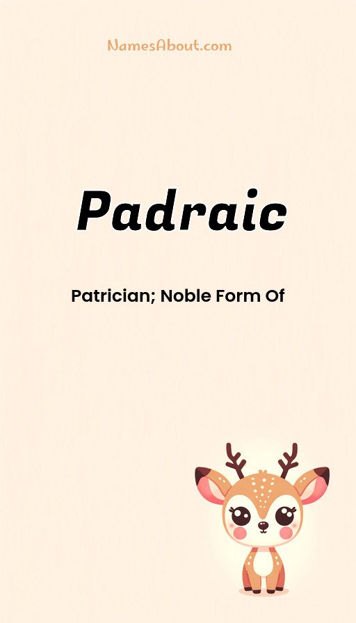 Meaning of Padraic