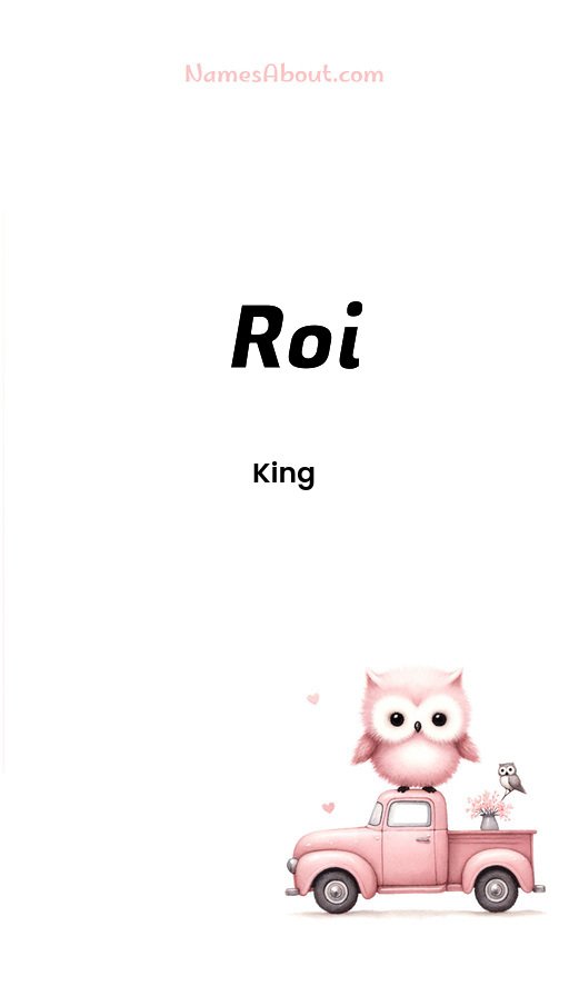 Meaning of Roi