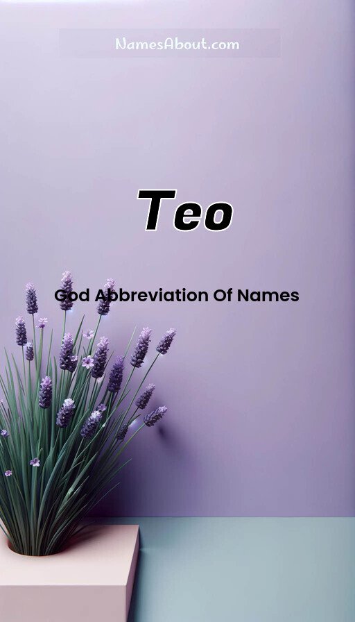 Meaning of Teo